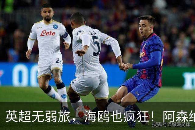 英超无弱旅，海鸥也疯狂！阿森纳3球惨败，拉亚成了远射背景板
